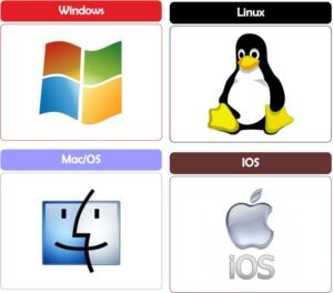 WhatsApp Image 2026-03-19 at 10.30.51 PM